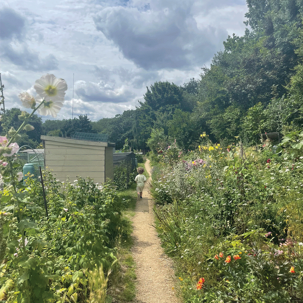 Allotment Week 2026 | Grow to Learn