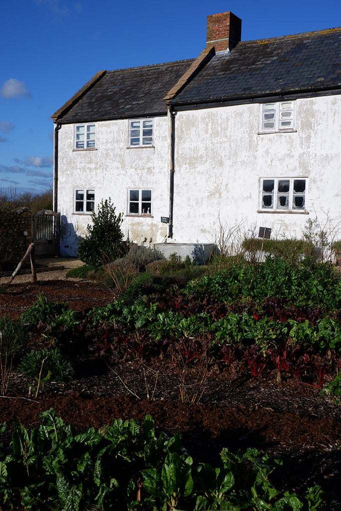 Mulch Organic at River Cottage