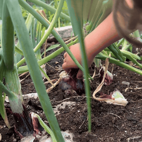 The Cycle is Complete...