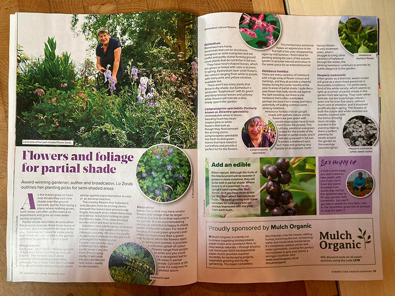 Liz Zorab Features in Amateur Gardening Magazine