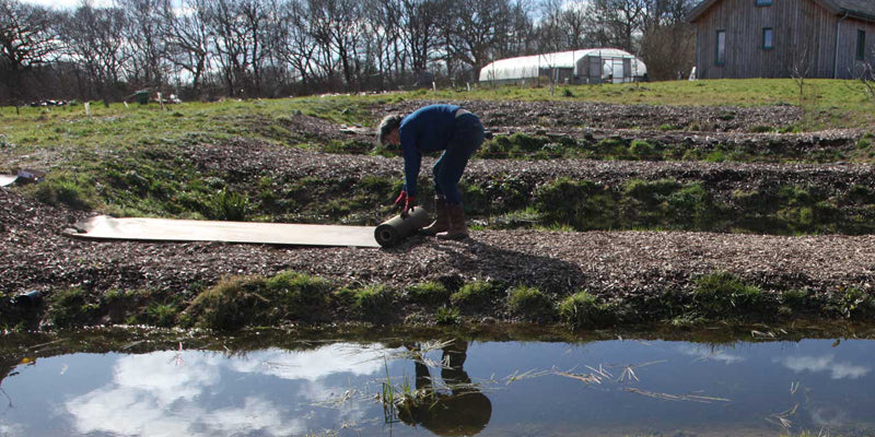 Pencoed Wetland System