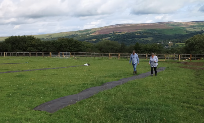 Creating a Self Sufficient Homestead | Liz Zorab