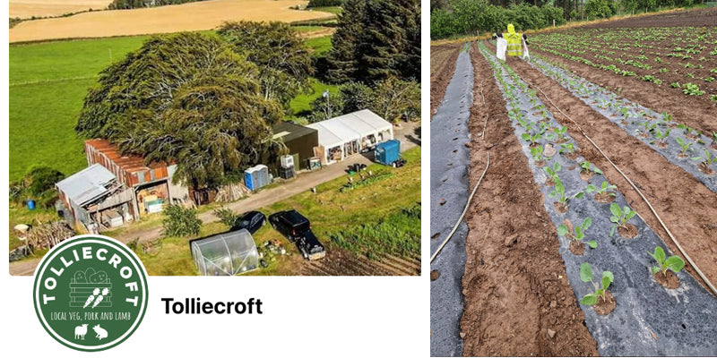 Tollicroft Fruit and Veg in Dingwall