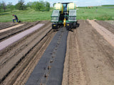 GeoMulch black paper mulch