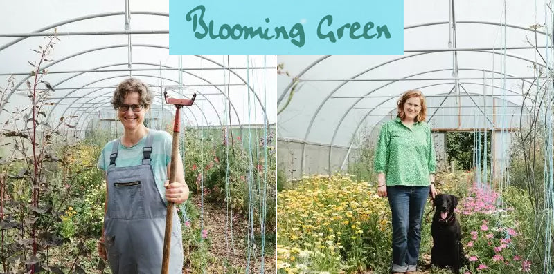Blooming Green Flowers | Florists in Kent