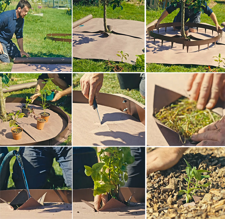 Creating a Plant Guild under Fruit Trees with the use of Mulch with Huw Richards