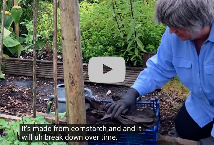 Liz Zorab| Real life gardening for food security