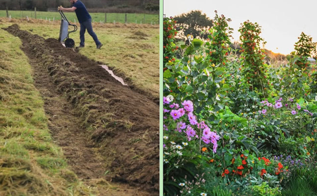 Huw's Garden | Polyculture