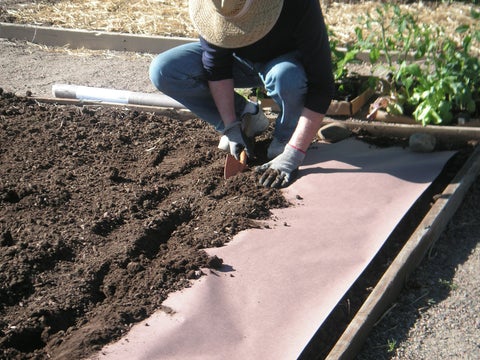 Natural Biodegradable Paper Mulch