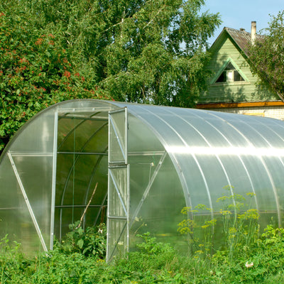 Green House & PolyTunnel