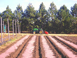 A farmer on a tractor in a filed laying out a long rolls of organic natural paper mulch over the soil and land to help with good plant growth